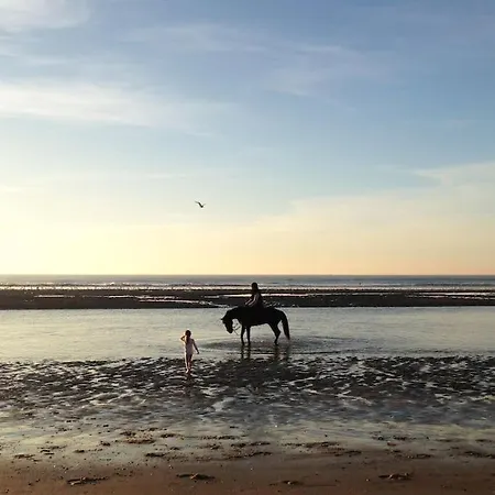 2 Couleur Dune, Piscine, Parking Gratuit